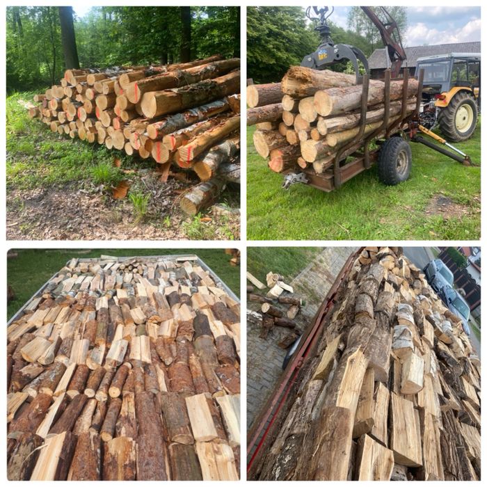 Drewno opałowe kominkowe transport drewna wycinka drzew