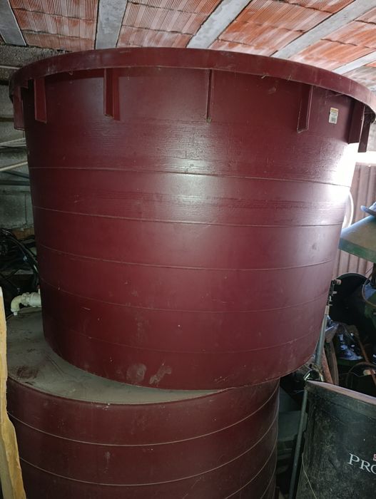 Dorna de Vinho ( Vindimas)