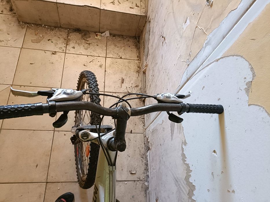 Rower guralski  szary