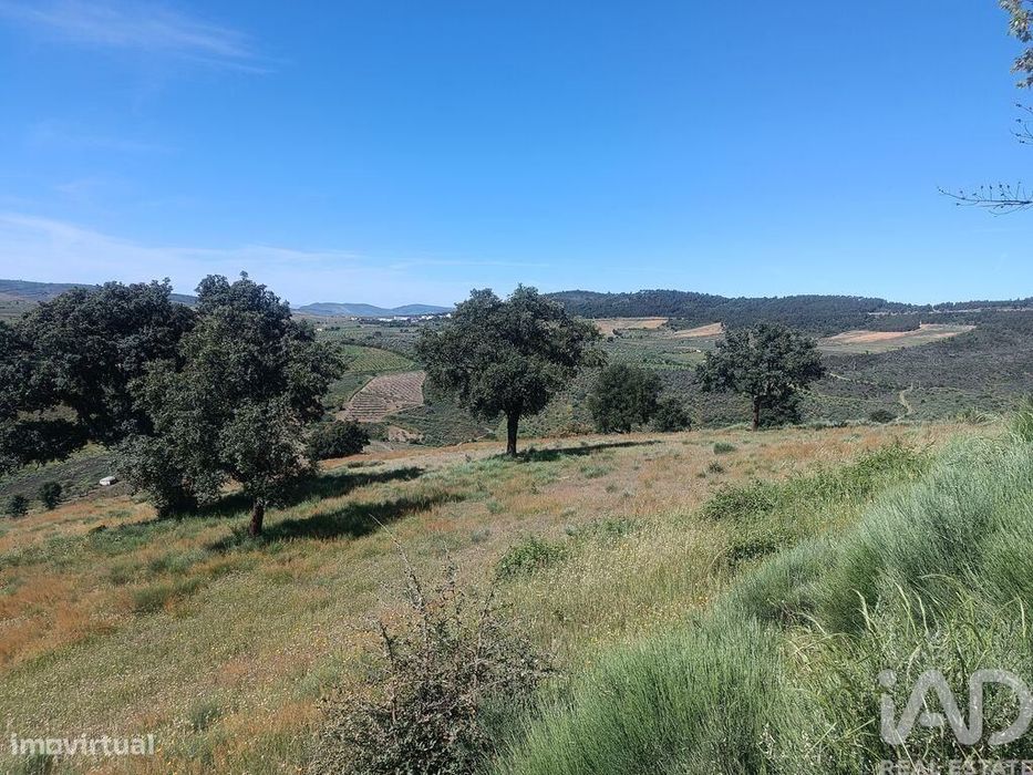 Terreno em Freixo de Espada à Cinta e Mazouco de 49572,00 m2