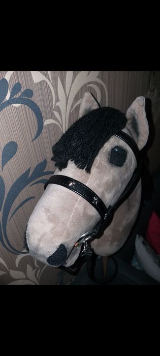 Hobby horse + akcesoria