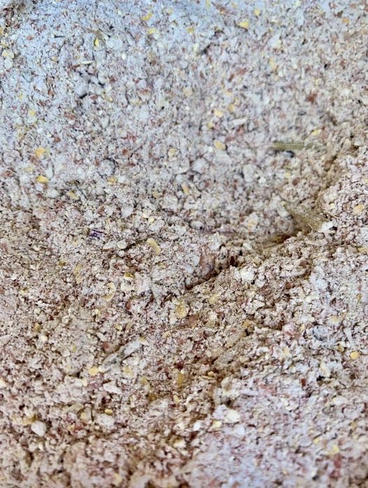 Грис ячміний, мучка кукурудзяна, гречані відходи