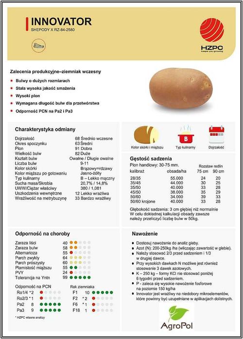 Ziemniak Frytkowy INNOVATOR - Sadzeniaki Przemysłowe Na Frytki