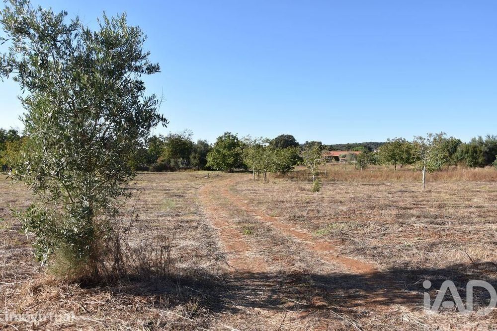 Terreno para construção em Areias e Pias de 8120,00 m2
