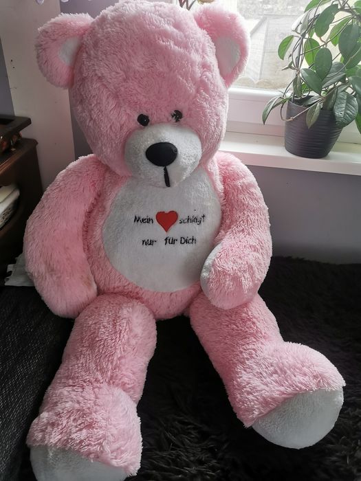 Sprzedam dużego misia