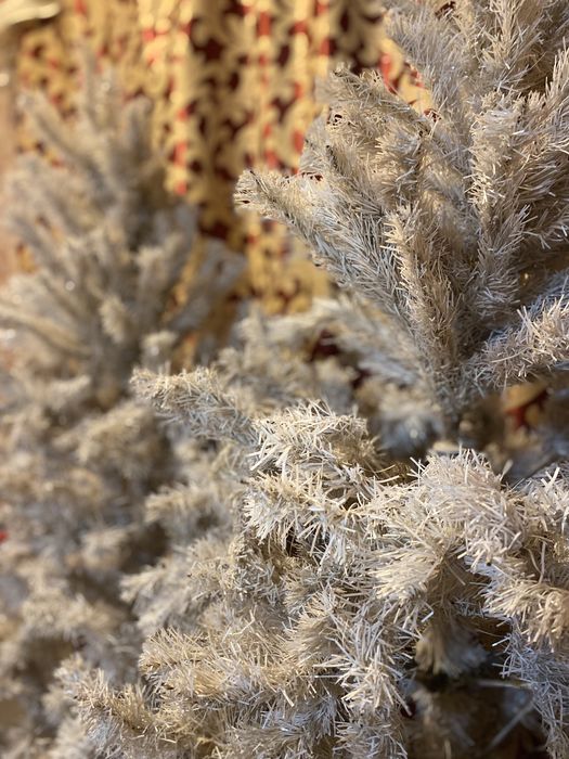 Елка елочка сосна ель