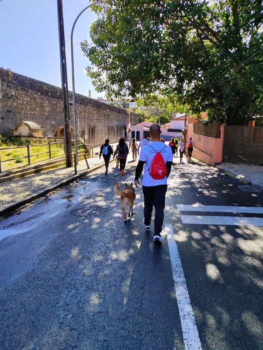 Passear cães / Dog walker