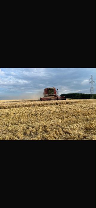 Kombajn zbożowy Massey Ferguson