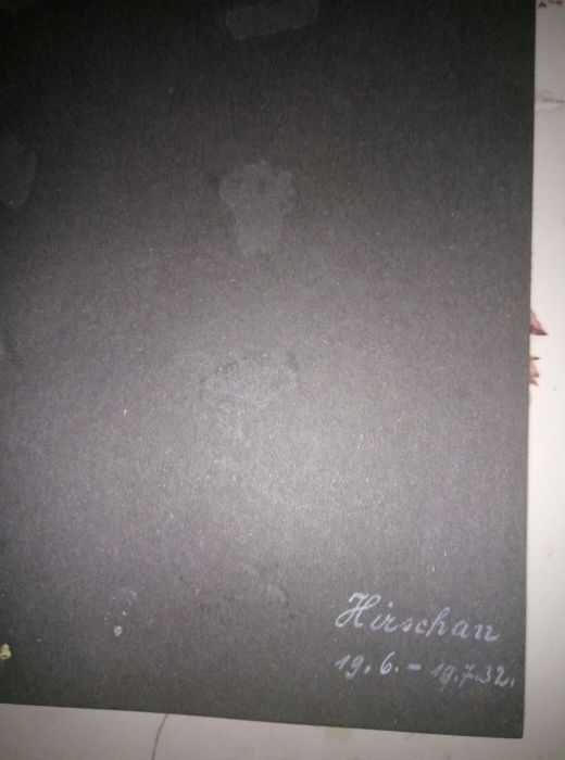 Фотоальбом старинный.