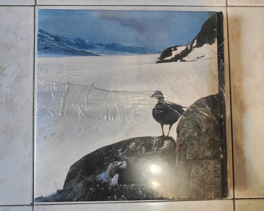 O Mundo Maravilhoso dos Animais Selvagens - Selado