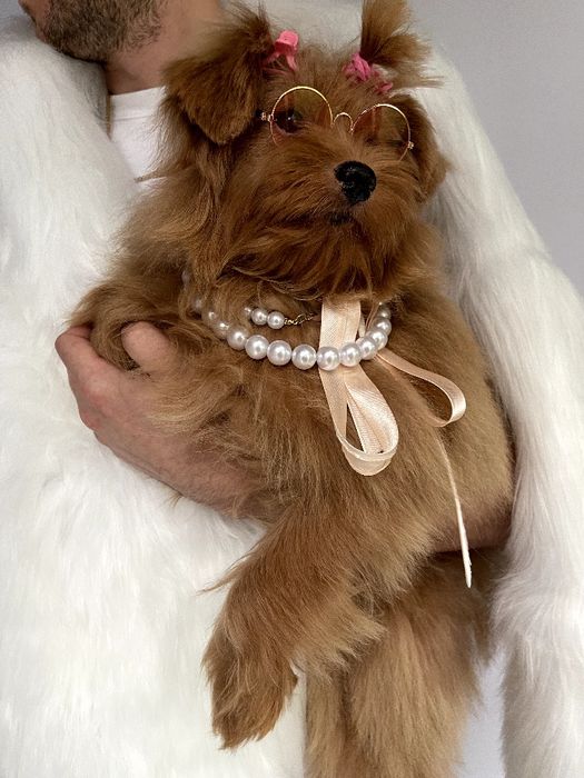 Помапу  краса, ніжність і любов в одному