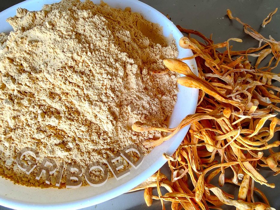 Гриб Кордицепс - 100 грамм.  Высушенный и перемолотый.