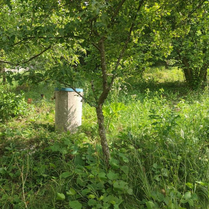 Продаж будинку (дачі) Видрові Доли