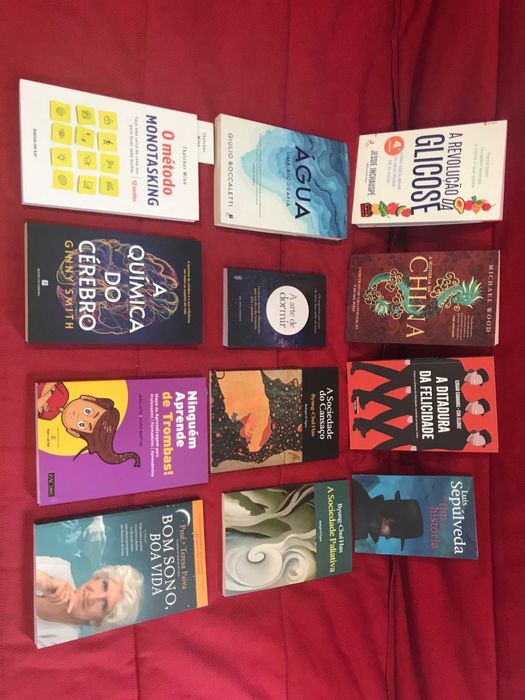 Vendo livros estimados: Produtividade, História, Desenv. Pessoal