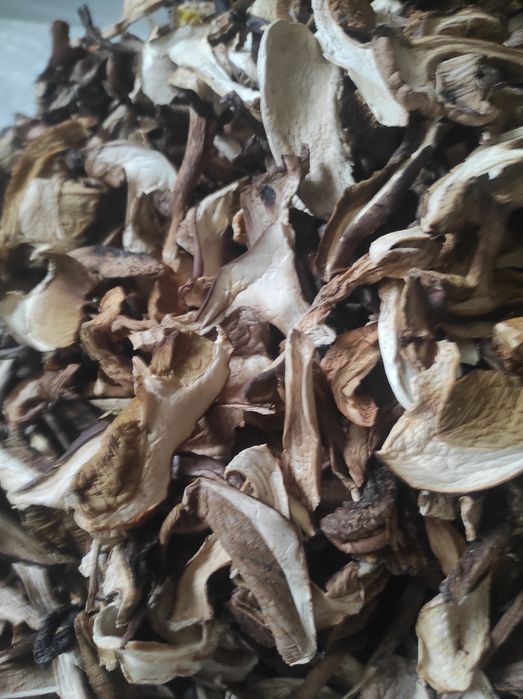 4 kg suszonych prawdziwki podgrzybki kozaki mieszanka