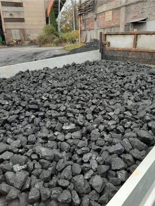 Węgiel orzech Polski