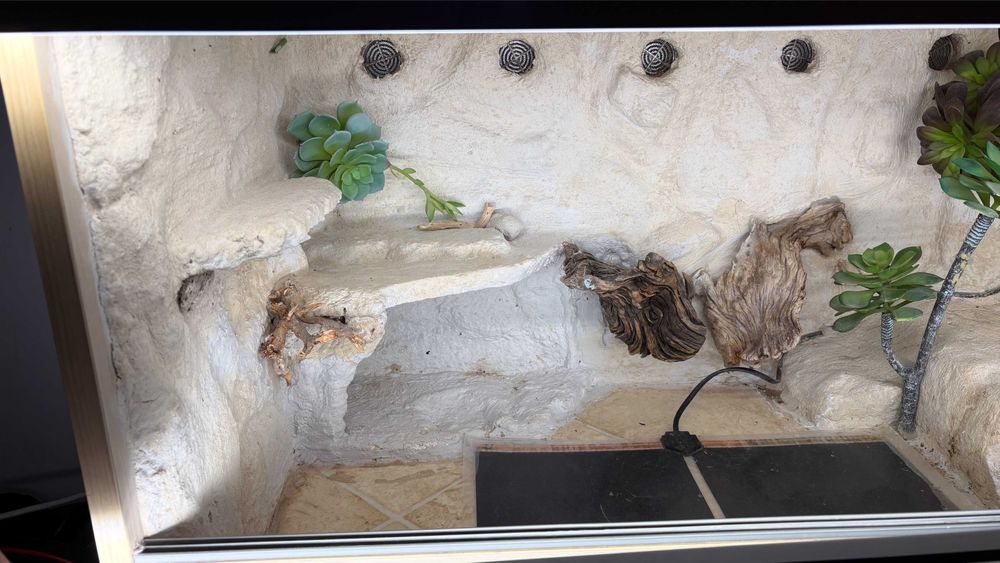 Terrarium pustynne 85x47x56