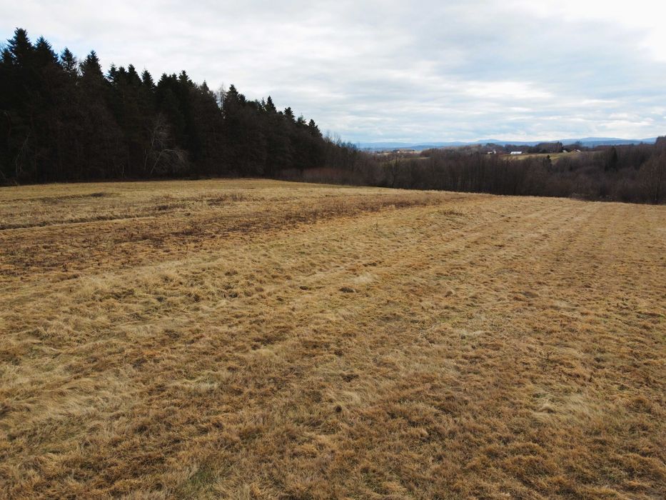 Widokowa działka w Niepli