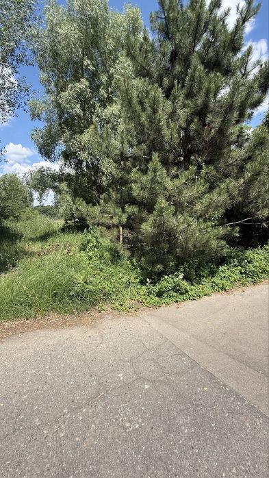 Продаж Ділянки  34,4га +14,34 га, біля  "Dreamland", с. Нові Безрадичі