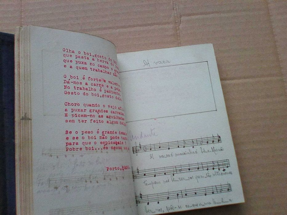 Os meus pequeninos - Musica de Estefânia Cabreira