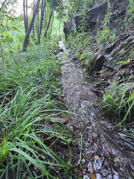 Quinta com vista para a Cova da Beira
