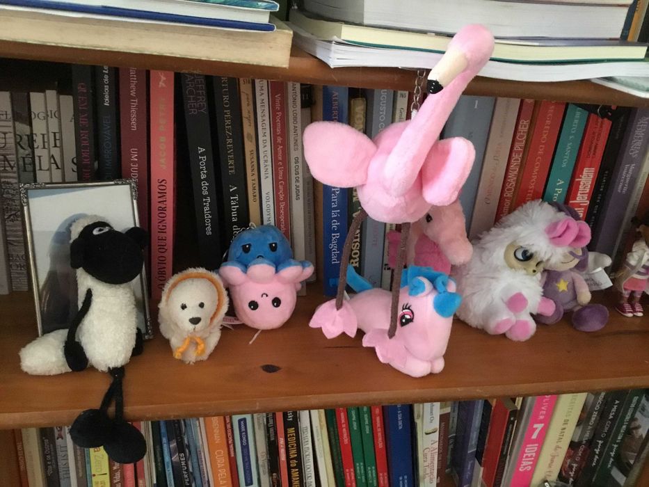 Brinquedos - bonecos