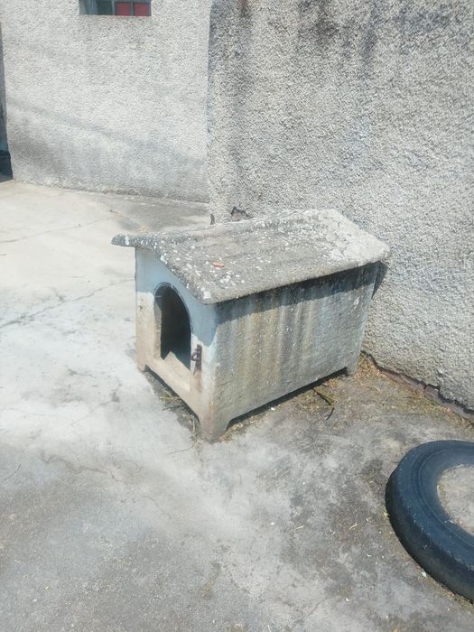 Casota grande para cão