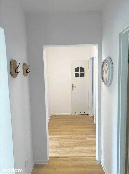 Zdjęcie 8