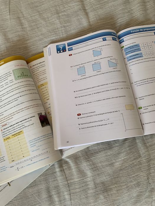 Conjunto de 2 manuais + caderno de exercicios de Matemática do 7.º Ano