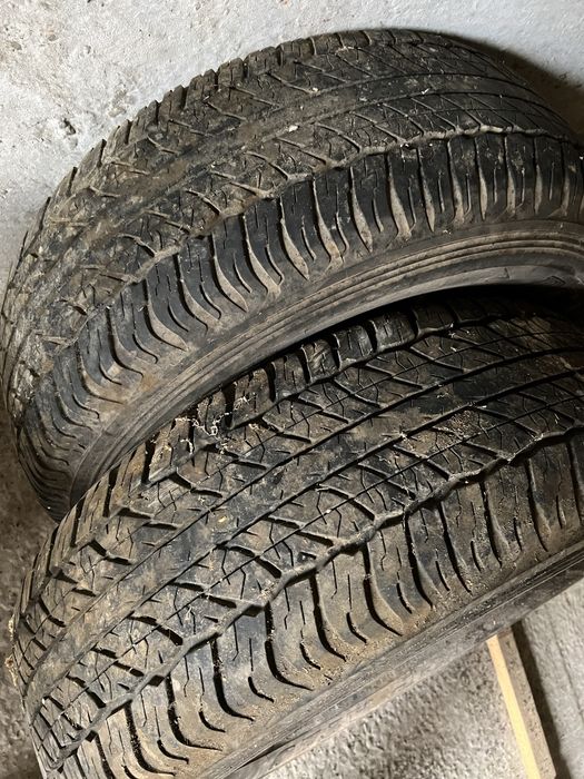 Продам резину Danlop