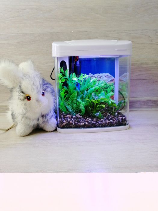 Акваріумний набір з рибками 7л | Безкоштовна доставка під ключ