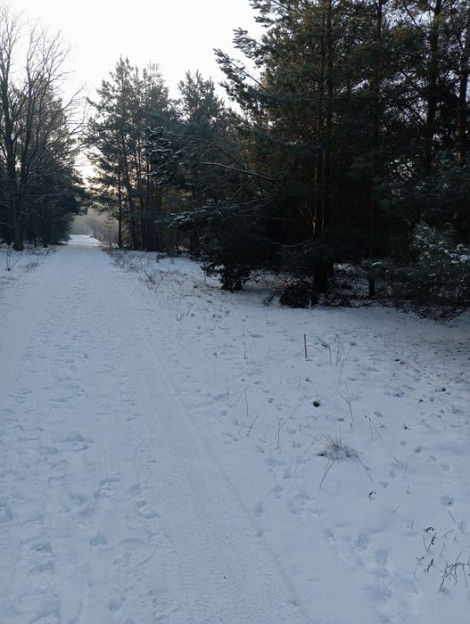 Działki Budowlane Nowa Wieś Wielka