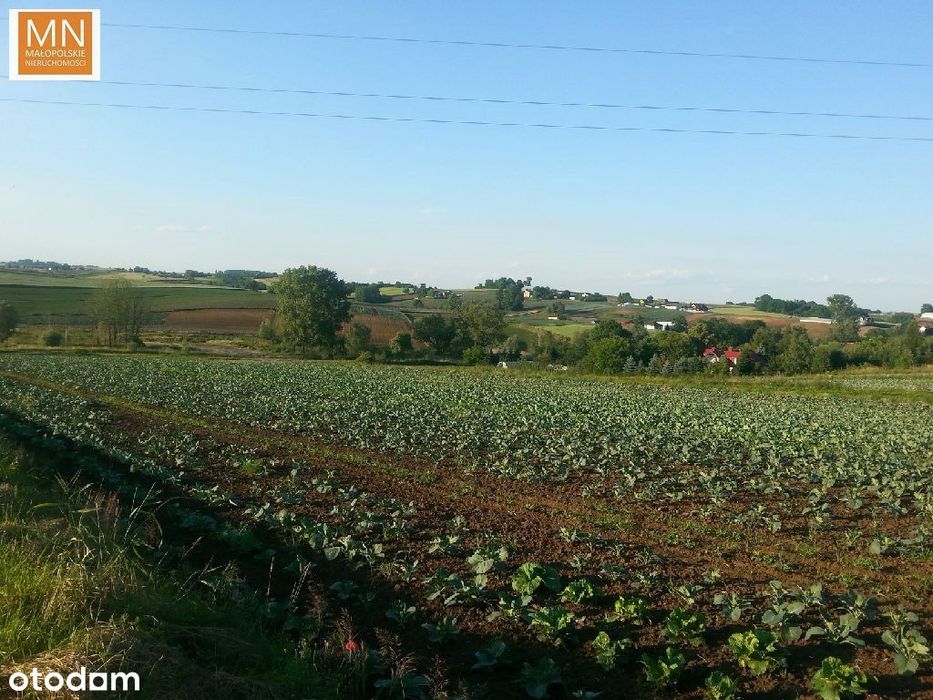 Kocmyrzów,Wronin,Proszowice,11a budowlana, - Widok 3