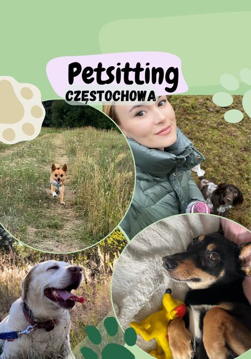 Opieka nad psem PETSITTING Domowy hotel