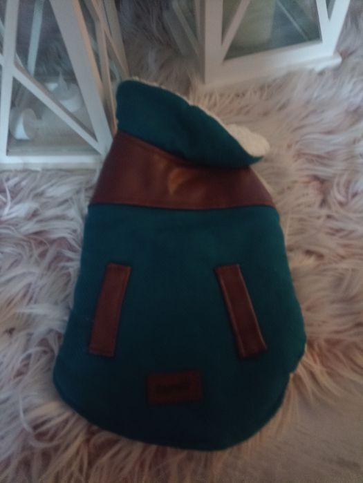 Zimowe ubranko na małego pieska Romeo