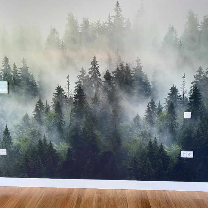 Tapetowanie , malowanie , obklejanie