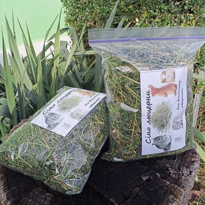 Сіно    люцерни.