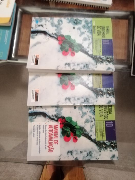 Livros 10 ano como novos