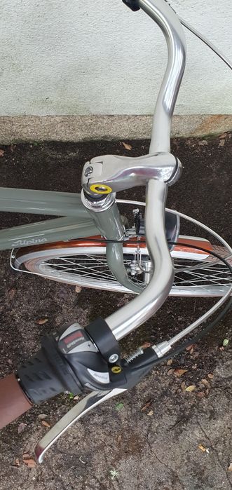 Bicicleta nova Alpina