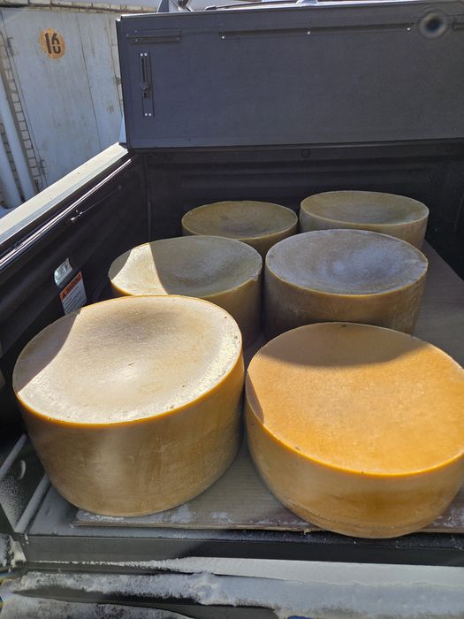 Продам віск бджолиний