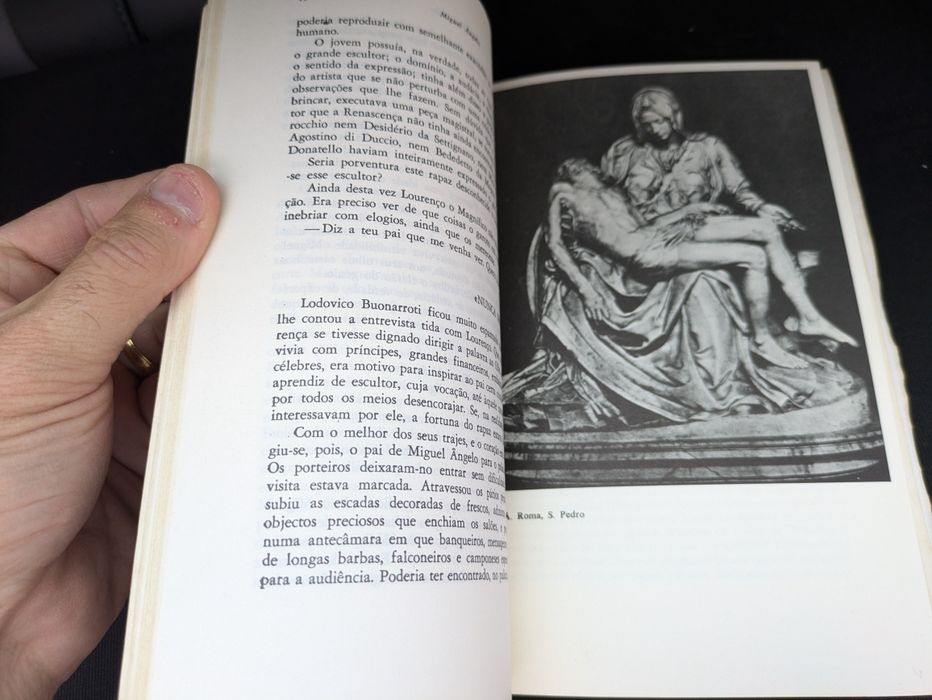 Miguel Angelo de Marcel Brion