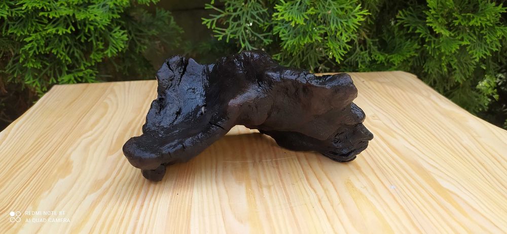 Korzeń do akwarium.