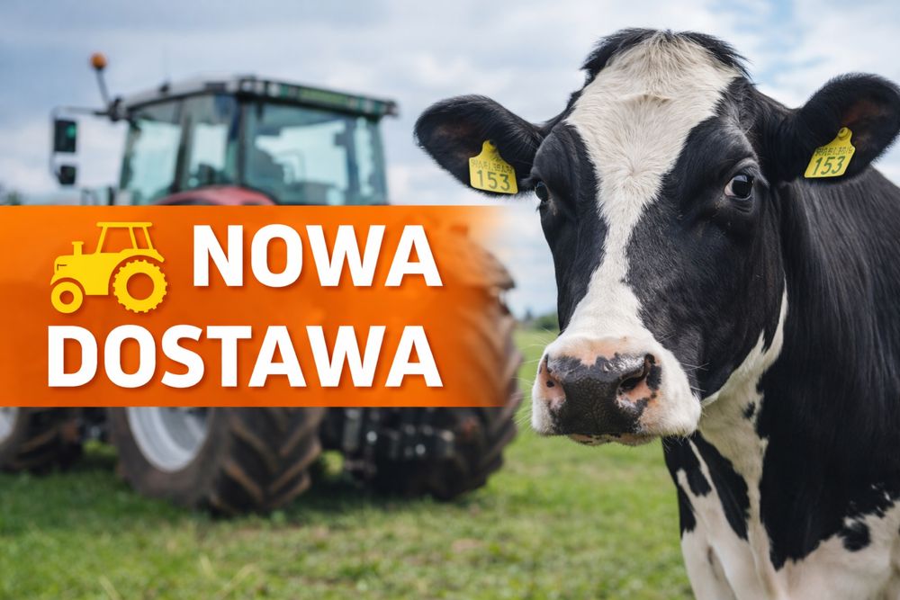 23.05 (sobota) Nowa dostawa pierwiastek z Niemiec
