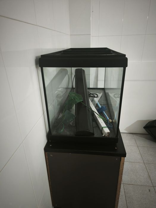 Aquário mais armação Ferro