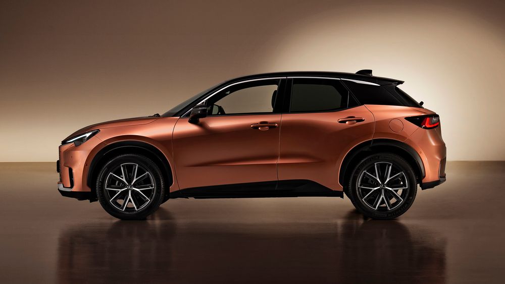 Zdjecie w galerii numer 2