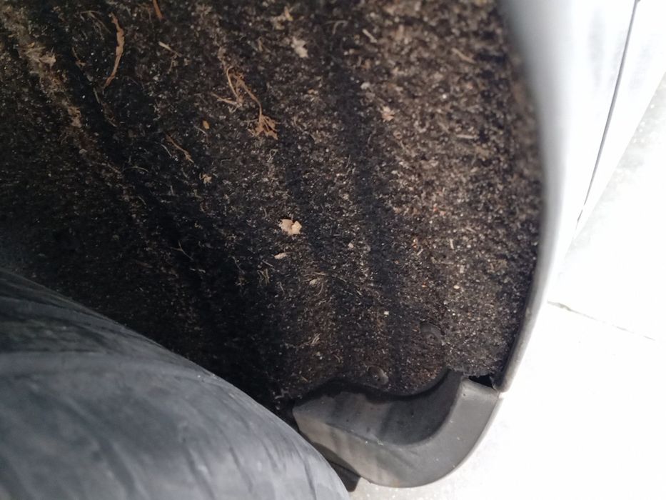 Cava roda trás direita AUDI A4 (8E2, B6)