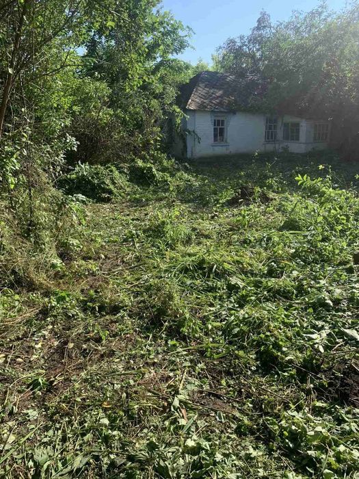 Продам старий будинок в Чепеліївці!