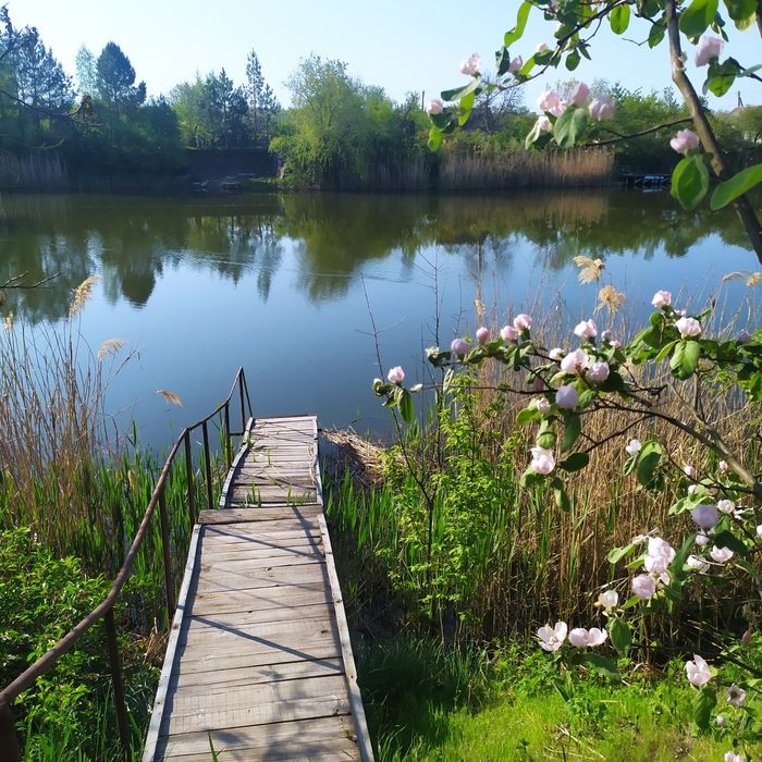 Продам  земельний участок-дачу в живописному місці.