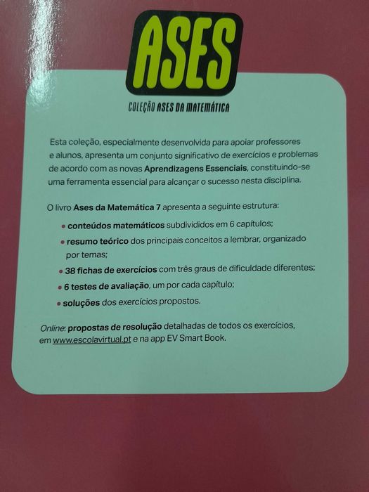 Matemática 7 ano Caderno de apoio