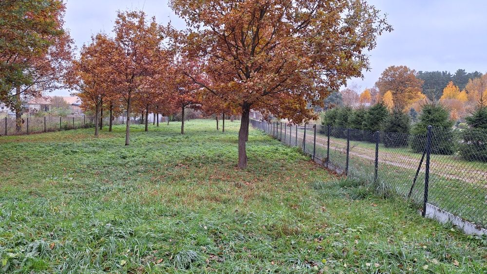 Działka budowlana 2500m2